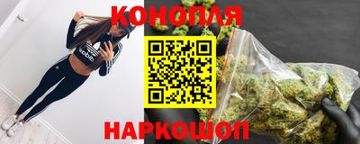 ешки Будённовск