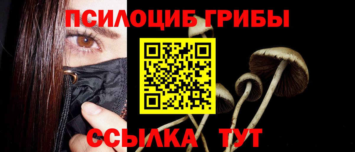 Тында  Галлюциногенные грибы Magic Shrooms  Вход с VPN  Псилоцибиновые грибы ЛСД 