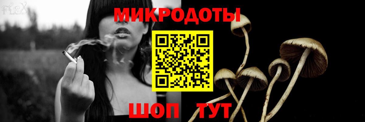 Псилоцибиновые грибы MAGIC MUSHROOMS Тында